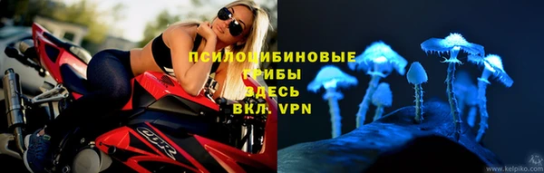 дурь Тихвин