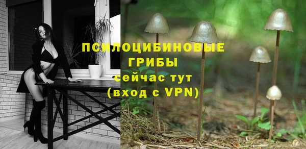 дурь Тихвин