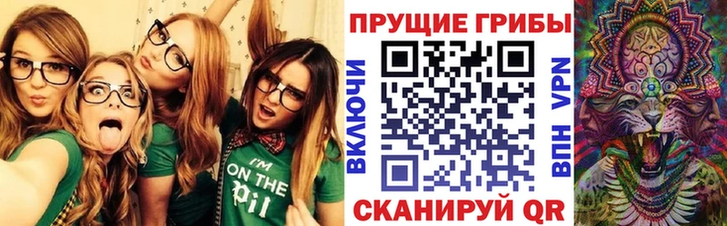 цена наркотик Чехов Псилоцибиновые грибы мицелий
